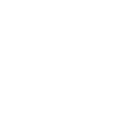 AUTOVISION